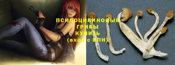 каннабис Гусиноозёрск