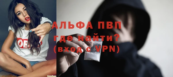 эйфоретик Гусев