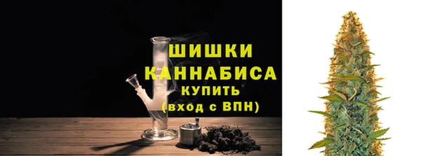 эйфоретик Гусев