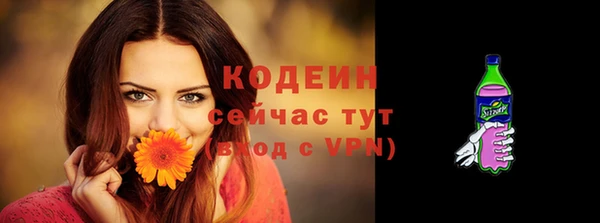 эйфоретик Гусев