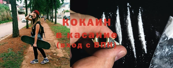 эйфоретик Гусев