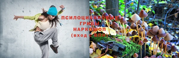 эйфоретик Гусев