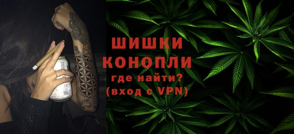 эйфоретик Гусев